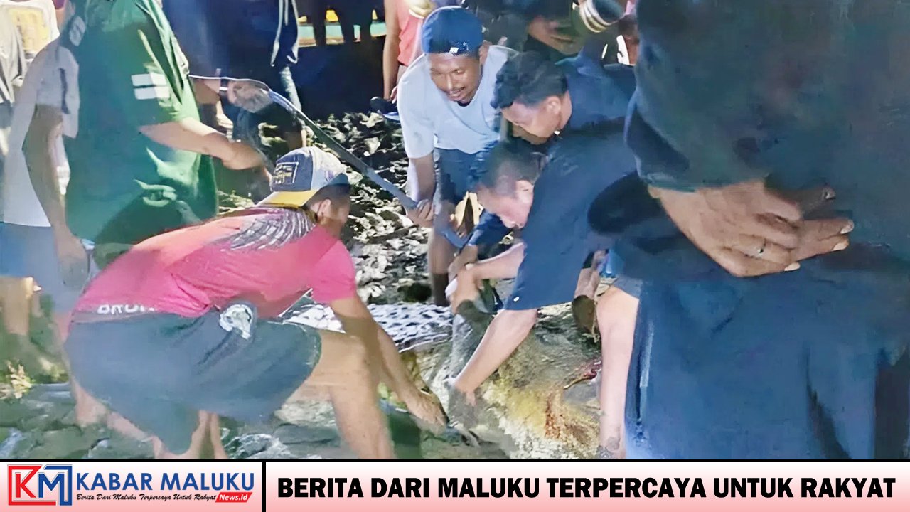 Remaja 17 Tahun Tewas Diterkam Buaya di Sungai Letahu, MBD